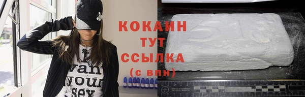 молекула духа Киреевск