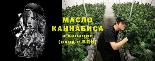 молекула духа Киреевск
