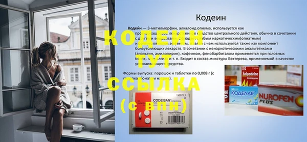 молекула духа Киреевск