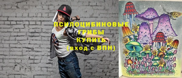 бошки Кинешма