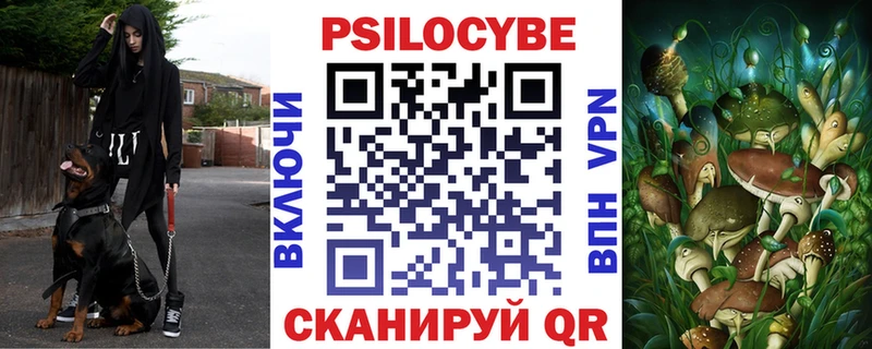 наркошоп  Краснозаводск  Псилоцибиновые грибы ЛСД 