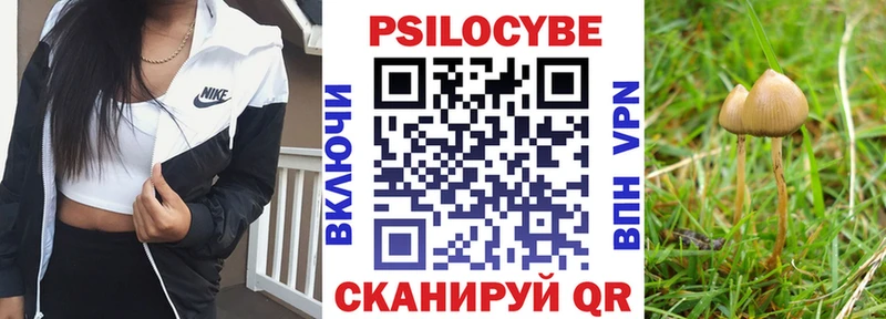 Псилоцибиновые грибы Magic Shrooms Краснозаводск